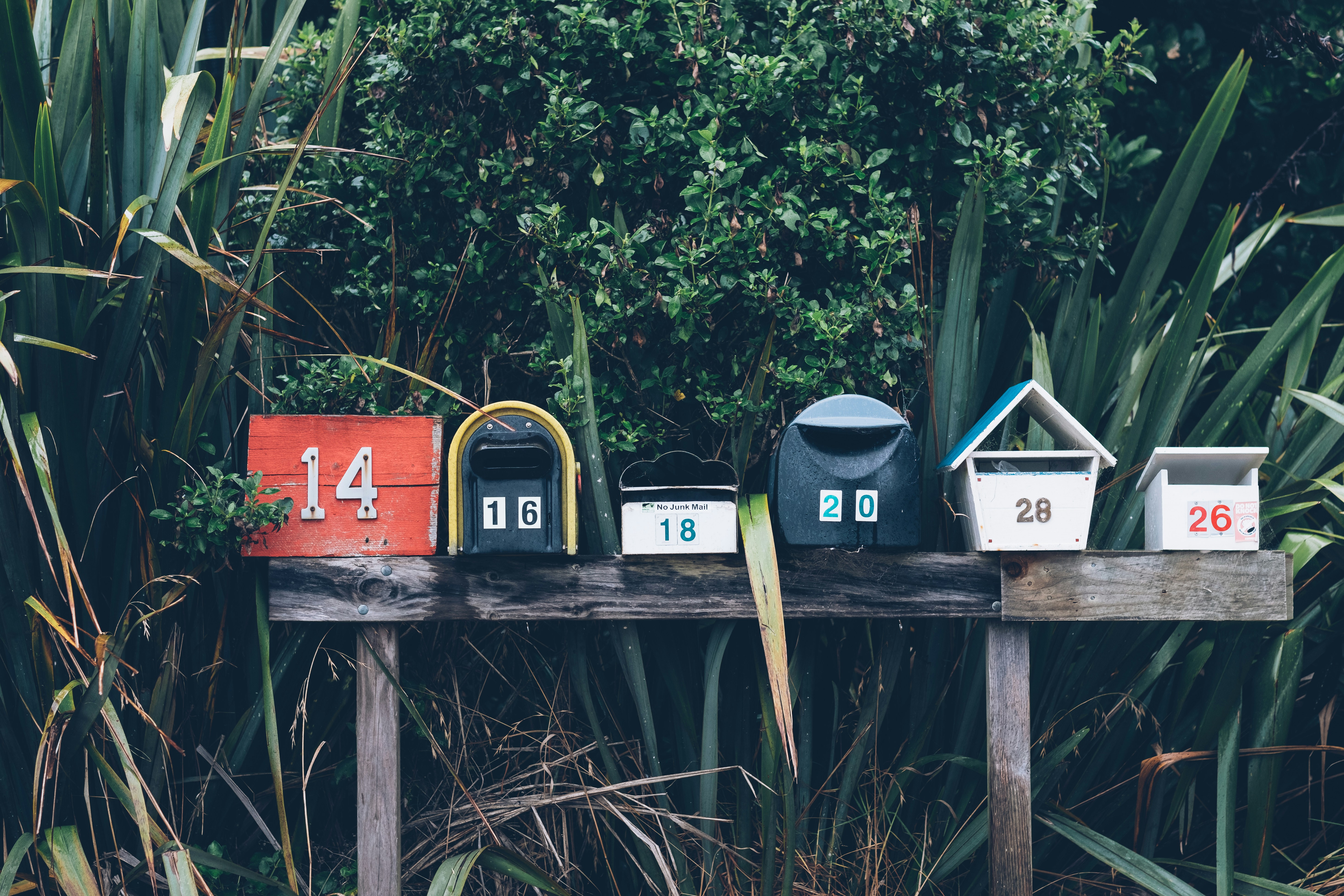 Guía para crear una contraseña de aplicación en Gmail
